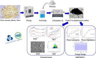 Synthesis of N and S co-doped Citrus maxima (Burm.) Merr-derived porous carbon for removal of pollutants and energy storage