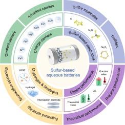 Aqueous sulfur batteries: From electrode electrochemistry design to multivalent charge carrier strategy