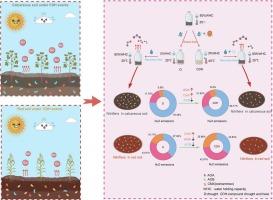 Compound drought-heat legacies promote the contribution of comammox Nitrospira to N2O emissions: as evidenced from both acidic and alkaline soils