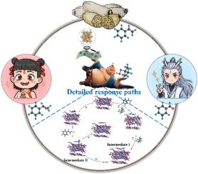 Selective oxidation of styrene over graphitic carbon nitride (C3N4) supported nano Co3O4 particles catalyst and the mechanism investigation