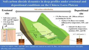 Soil carbon dioxide dynamics in deep profiles under erosional and depositional conditions on the Chinese Loess Plateau