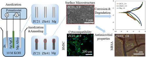 Optimizing anodization processing parameters for improved properties of nanostructured oxide surfaces on magnesium alloys for antimicrobial implants