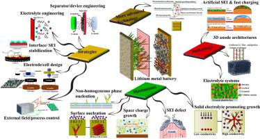 Suppressing dendritic growth in lithium metal batteries: Recent strategies, mechanistic, and technological advances