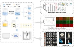 Combining protein fibrosis with dynamic non-covalent crosslink to improve the mechanical properties of high internal phase emulsion and its application in hollow model printing