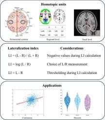 Methodological considerations for quantifying brain asymmetry using neuroimaging techniques