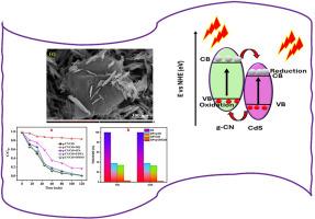 Rod-on-sheet g-C3N4/CdS hybrid nanostructure for enhanced photocatalytic detoxification of industrial effluents