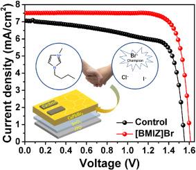 Interface engineering with halide anion ionic liquids: A strategy to enhance the efficiency and stability of carbon-based all-inorganic CsPbBr3 perovskite solar cells