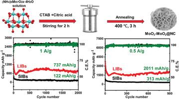 Fabrication of dual-phase MoO3-MoO2@N-doped carbon nanopetal spheres to achieve quick ion transport for Li/Na storage