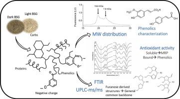 Interaction between Maillard reaction products and phenolics in brewer's spent grain: Structural and antioxidant insights