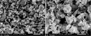 Co-Engineered Ag/CuO Nanoparticles Via Artemisia pallens: Catalytic, Antibacterial, and Molecular Docking Perspectives