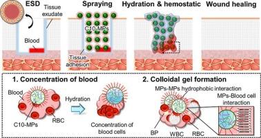 Effect of crosslinking densities on decanoyl-group modified Alaska pollock gelatin microparticles as tissue-adhesive hemostatic powders