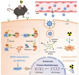 PROTAC-loaded nanocapsules degrading BRD4 for radio-chemotherapy sensitization in glioblastoma