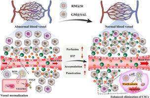 Small-sized twin-nanoparticles normalize tumor vasculature to enhance tumor accumulation and penetration for potent eradication of cancer stem-like cells