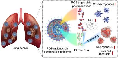 Self-illuminating liposome-derived in situ triggerable photodynamic therapy combining radionuclide therapy for synergistic treatment of lung cancer