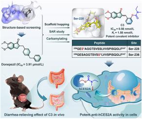 Discovery of orally active and serine-targeting covalent inhibitors against hCES2A for ameliorating irinotecan-triggered gut toxicity