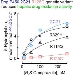 Genetic variants of cytochrome P450 2C21 identified by screening 6344 dogs influenced oxidations of the probe drug omeprazole