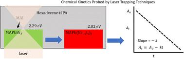 In Situ kinetic analysis of perovskite halide exchange via laser trapping spectroscopy
