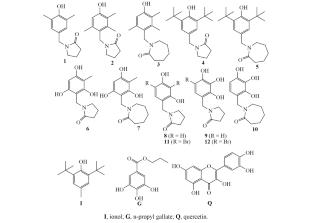Phenolic Derivatives in Hypochlorite-Scavenging Model: Theoretical and Practical Approach