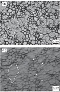 Investigations of the Structure and Morphology of CsPbBr3 Films Deposited by Vacuum Thermal Evaporation