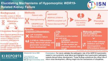 Elucidating Mechanisms of Hypomorphic WDR19-Related Kidney Failure