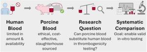 The porcine abattoir blood model — Bridging the gap between human and porcine blood for in-vitro testing