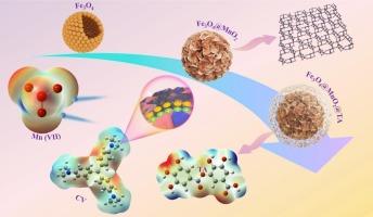 Flower-like Fe3O4@manganese dioxide@tannic acid core-shell structure for efficient adsorption of dyes and Mn (VII) in water