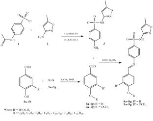 Synthesis, Mesogenic Behavior, and DFT Study of Liquid Crystals Containing Azomethine and Sulfonamide Linkages