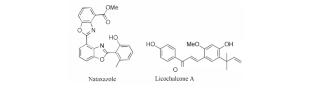 Design, Synthesis, and Anticancer Evaluation of Novel Chalcone Derivatives Bearing a 2-[4-(Pyridin-4-yl)isoxazol-3-yl)benzoxazole Moiety