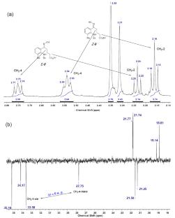 Synthesis of Ketoximes Derived from 5-(2-[(Benzoylamino)-3-methylphenyl]-5-oxopentanoic Acid and Its Methyl Ester and N-tosyl-2-(5-oxopentanoyl)-, N-tosyl-2-(6-oxohexanoyl)-, and N-pivaloyl-2-(5-oxohexanoyl)aniline Acetals