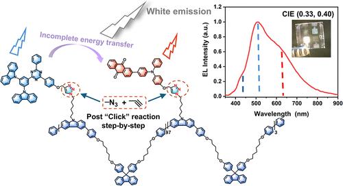 Nonconjugated Polymer Flexibly Linked with Blue and Orange-Red Thermally Activated Delayed Fluorescence (TADF) Units for White Organic Light-Emitting Diodes (WOLEDs)