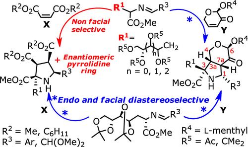 Asymmetric Induction of Sugar-Derived Dipole and Dipolarophile in 1,3-Dipolar Cycloadditions Leading to Pyrrolidines