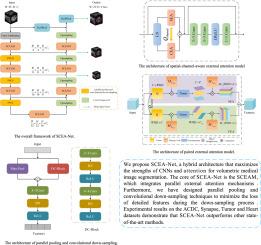 SCEA-Net: A hybrid framework from spatial-channel-aware external attention for accurate 3D medical image segmentation