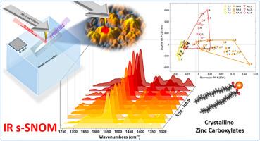 Nanoscale morphological and spectroscopic mapping of zinc carboxylate formation in oil and tempera paintings