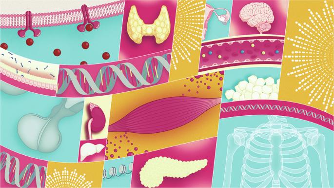 Marking 20 years of Nature Reviews Endocrinology