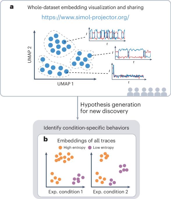 Machine learning for accelerating discovery from single-molecule data