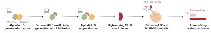 Enhancing prime editing via AI-guided binder design