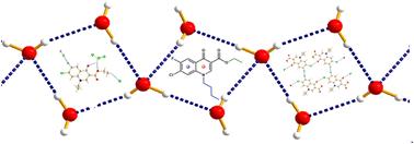 Exploring weak noncovalent interactions in a few halo-substituted quinolones