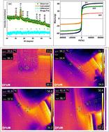 Preparation of biotemplated Fe3O4 nanoparticles and evaluation of RF-induced heating efficiency for targeted hyperthermia
