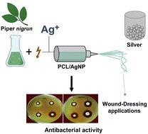 Electrospun poly(ε-caprolactone)/silver nanoparticle nanofibrous scaffolds with antibacterial activity for wound-dressing applications