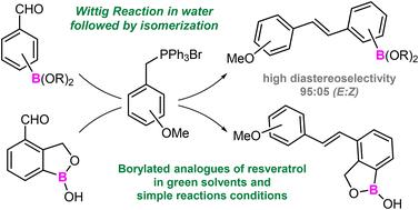 Synthesis of borylated-stilbenes under environmentally friendly Wittig reaction and interaction studies with HSA