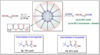 LiCl-driven direct synthesis of mono-protected esters from long-chain dicarboxylic fatty acids