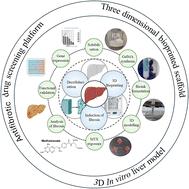 Engineering a GelMA–dECM-based 3D bioprinted liver fibrosis model: methotrexate-induced functional and molecular validation