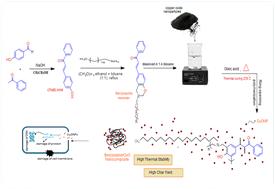 Synthesis, characterization and bioactivity of chalcone-based polybenzoxazine/copper oxide nanocomposites