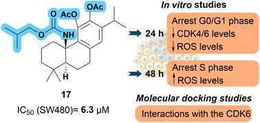 Synthesis and biological evaluation of novel carnosic acid derivatives with anticancer activity