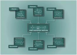 A review on the sulfur ylide-mediated Corey–Chaykovsky reaction: a powerful approach to natural product synthesis