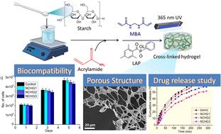 Polyacrylamide functionalized polysaccharide based nanocomposite semi-interpenetrating polymeric network hydrogel for pH-responsive controlled release of a model neuroprotective drug