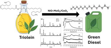 Green diesel production via deoxygenation of triolein catalysed by nickel-molybdenum-supported catalysts