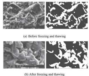 Freeze–thaw impacts on the mechanical behavior of silty clay: Insights from experimental and DEM investigation
