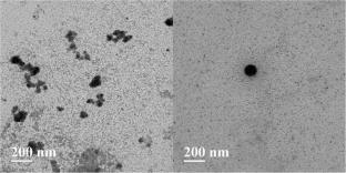 Design and Development of Butyrosomes as Novel Carriers Using Lipid Isolated from Diploknema butyracea (Roxb.) H. J. Lam