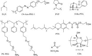 Palladium-Catalyzed Tsuji–Trost-Type Reactions in Bioorthogonal Chemistry: From Test Tubes to Living Systems